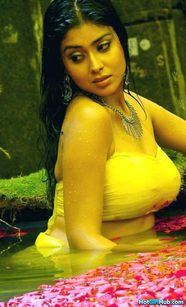 Shriya Saran Hot Photos South Indian Actress Sexy Photos 14