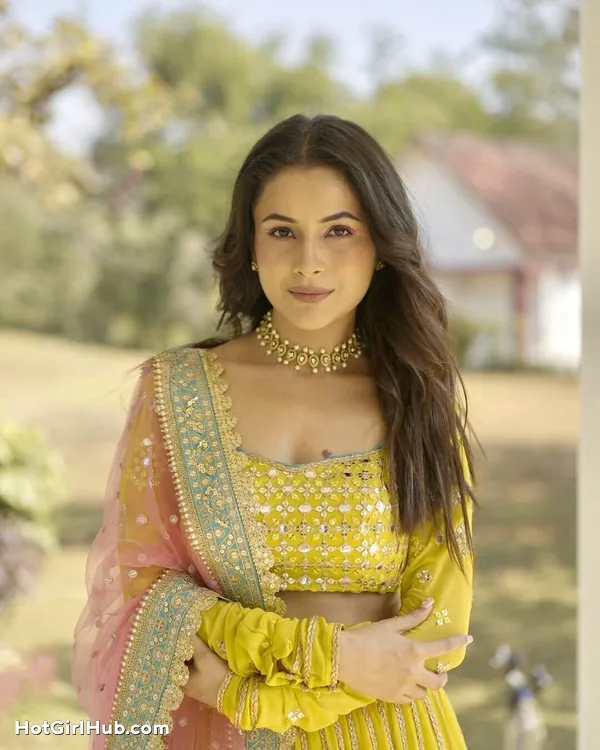 Hot Punjabi Actress Shehnaaz Kaur Gill Big Boobs (2)