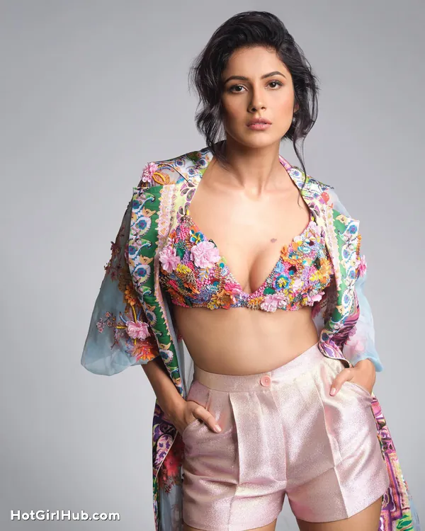 Hot Punjabi Actress Shehnaaz Kaur Gill Big Boobs (5)
