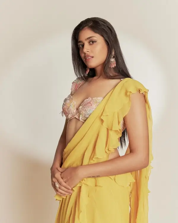 Hot Faria Abdullah Shows Off Big Boobs in Yellow Saree Looked Stunning (2)