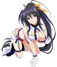 High School Dxd Hentai Akeno Himejima Without Bra In Torn Clothes Tits