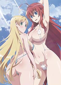 High School Dxd Hentai Rias X Asia In Sling Bikini Huge Boobs