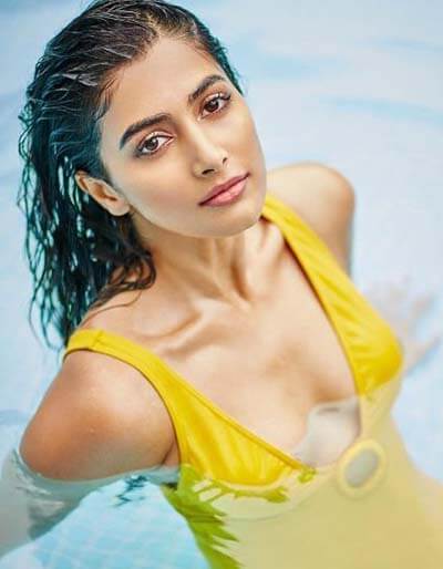 Pooja Hegde Hot Photos Indian Model and Film Actress Sexy Photos 1