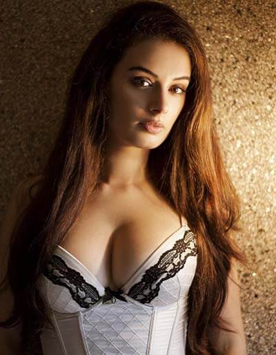 Evelyn Sharma Hot Photos Bollywood Actress Sexy Photos 1
