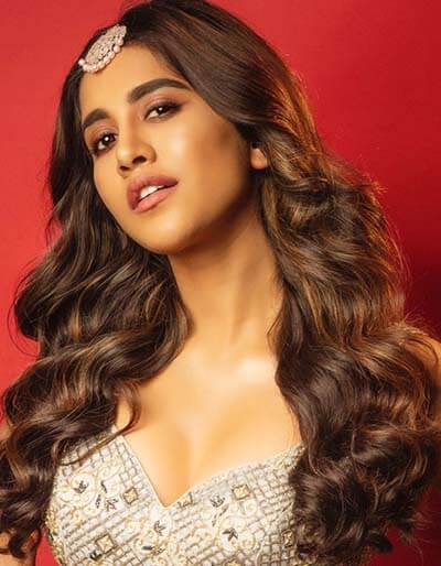Nabha Natesh Hot Indian Film Actress Sexy Pics 1