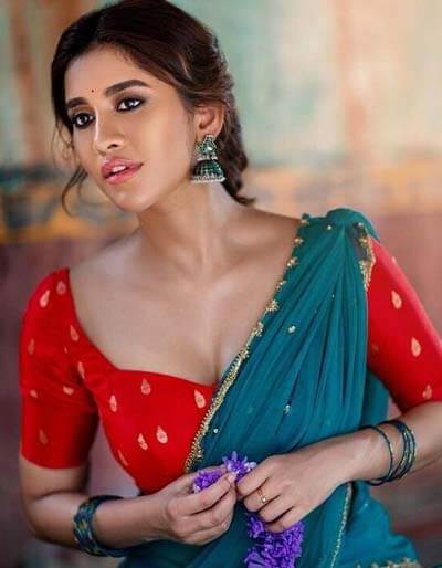 Sexy Nabha Natesh Hot Kannada Actress Pics 1