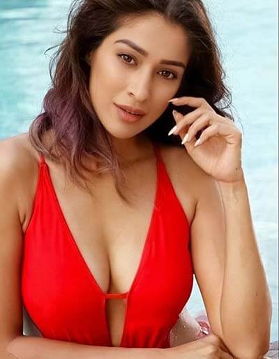 Hot Tamil Actress Raai Laxmi Big Boobs 1