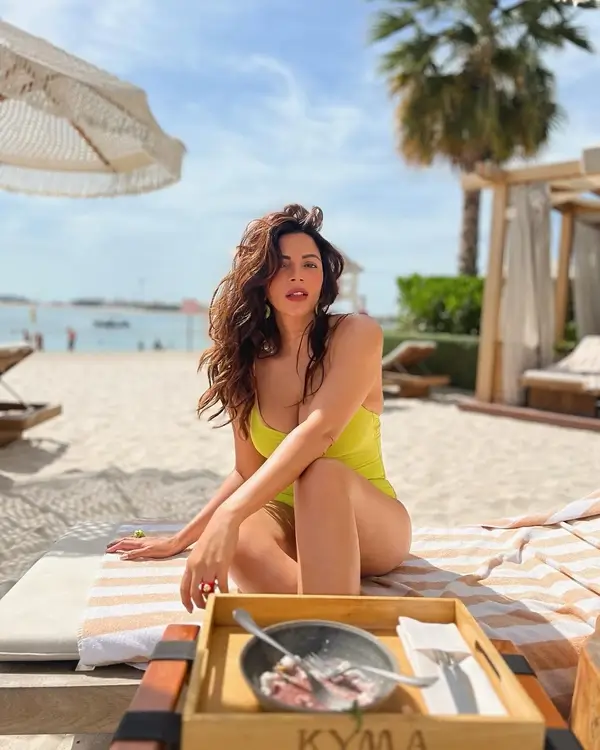 Shama Sikander Shows Off Sexy Figure in Swimsuit Sets Social Media on Fire (3)