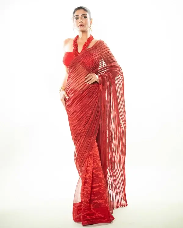 Hot Raveena Tandon Shows Off Big Boobs in Red Ethnic Saree Looked Stunning (4)