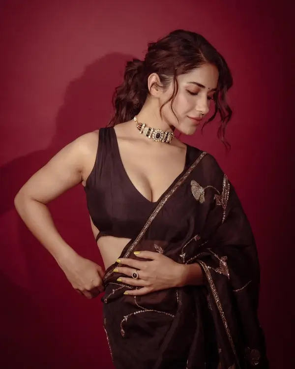 Hot Ruhani Sharma Shows Off Big Boobs and Cleavage in Gorgeous Brown Saree Sets Social Media on Fire (2)