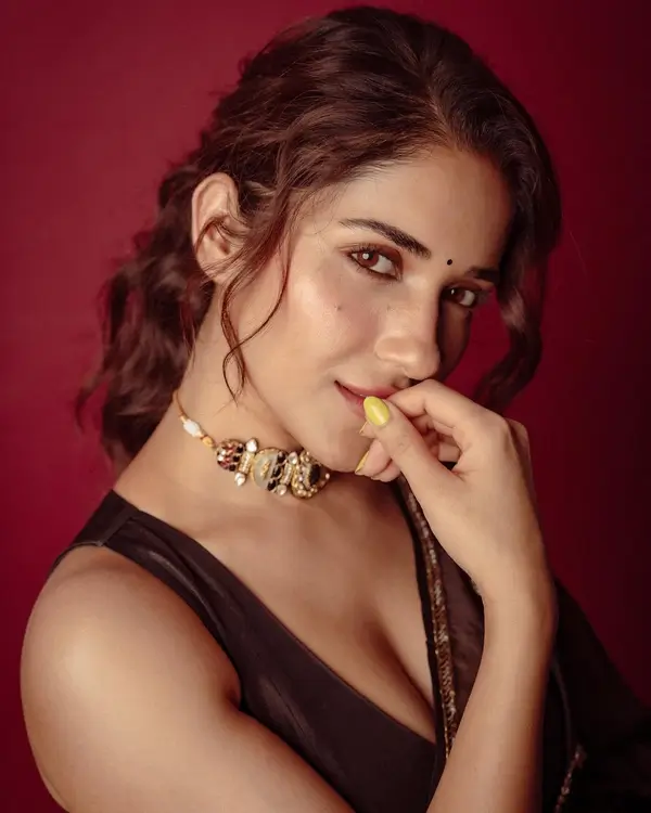Hot Ruhani Sharma Shows Off Big Boobs and Cleavage in Gorgeous Brown Saree Sets Social Media on Fire (3)