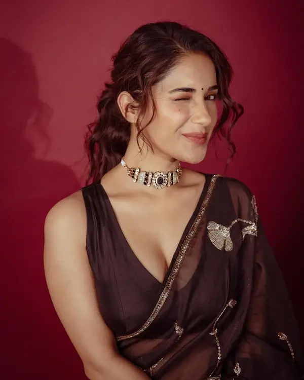 Hot Ruhani Sharma Shows Off Big Boobs and Cleavage in Gorgeous Brown Saree Sets Social Media on Fire (4)
