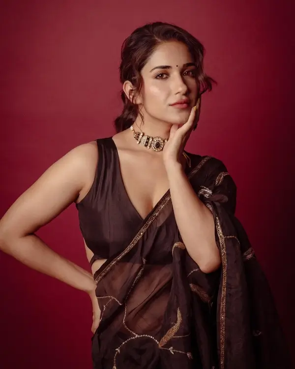 Hot Ruhani Sharma Shows Off Big Boobs and Cleavage in Gorgeous Brown Saree Sets Social Media on Fire (5)