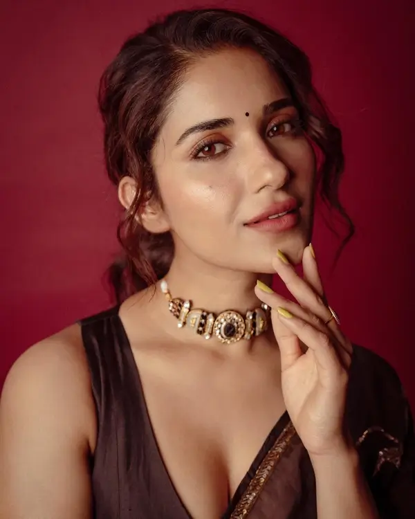 Hot Ruhani Sharma Shows Off Big Boobs and Cleavage in Gorgeous Brown Saree Sets Social Media on Fire (6)