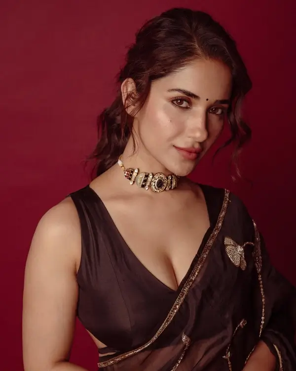 Hot Ruhani Sharma Shows Off Big Boobs and Cleavage in Gorgeous Brown Saree Sets Social Media on Fire (7)