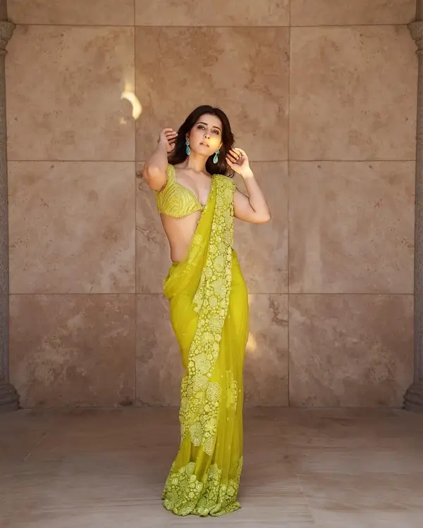 Raashii Khanna Shows Off Big Boobs and Sexy Figure in Green Embroidered See through Saree (5)