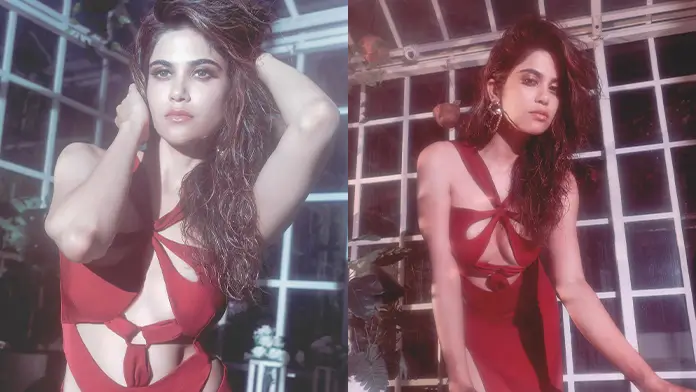 Hot Aaditi Pohankar Flaunts Her Big Boobs and Sexy Body in Sheath Cut Dress (1)