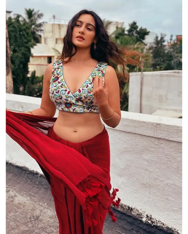 Hot Megha Shukla Displays Her Big Boobs and Sexy Body in Embroidered Crop Top Paired With a Fiery Red Saree (5)