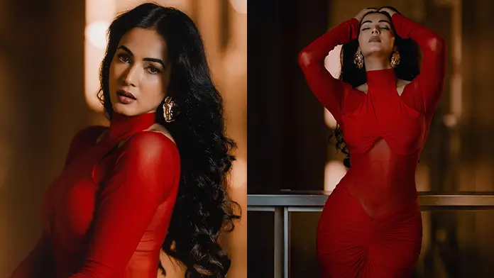 Hot Sonal Chauhan Showcased Her Big Boobs and Curvy Figure in a Red See through Dress (1)