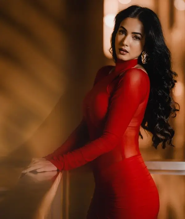 Hot Sonal Chauhan Showcased Her Big Boobs and Curvy Figure in a Red See through Dress (3)