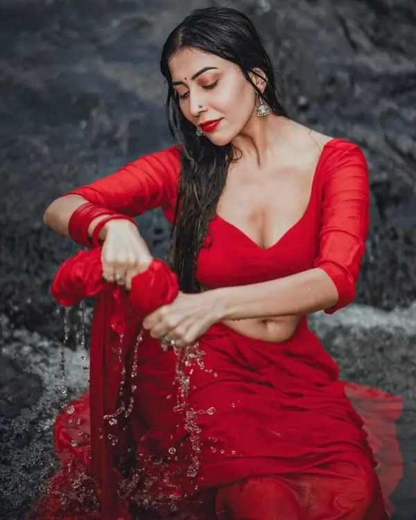 Hot Ruma Sharma Showing Her Big Boobs in Red Saree (4)