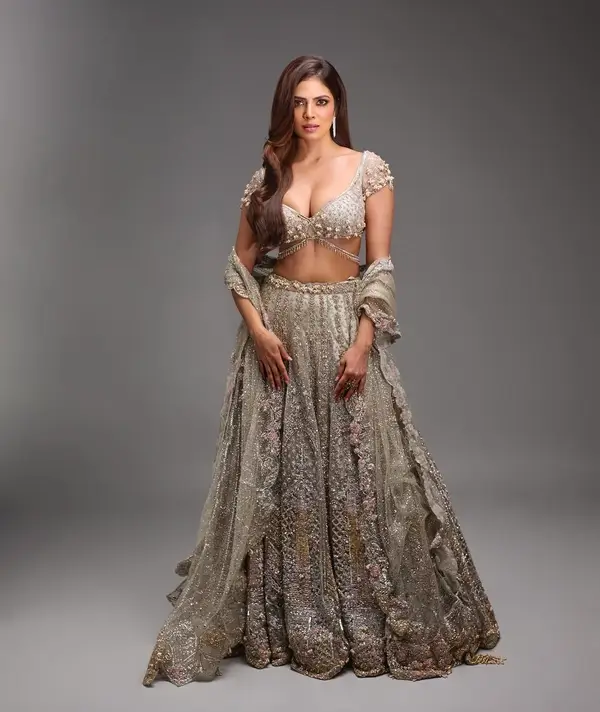 Hot Malavika Mohanan Displays Her Big Boobs and Sexy Body in Cream Lehenga (5)