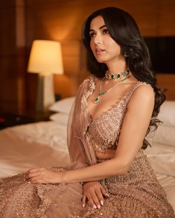 Hot Sonal Chauhan Flaunts Her Big Boobs in (3)