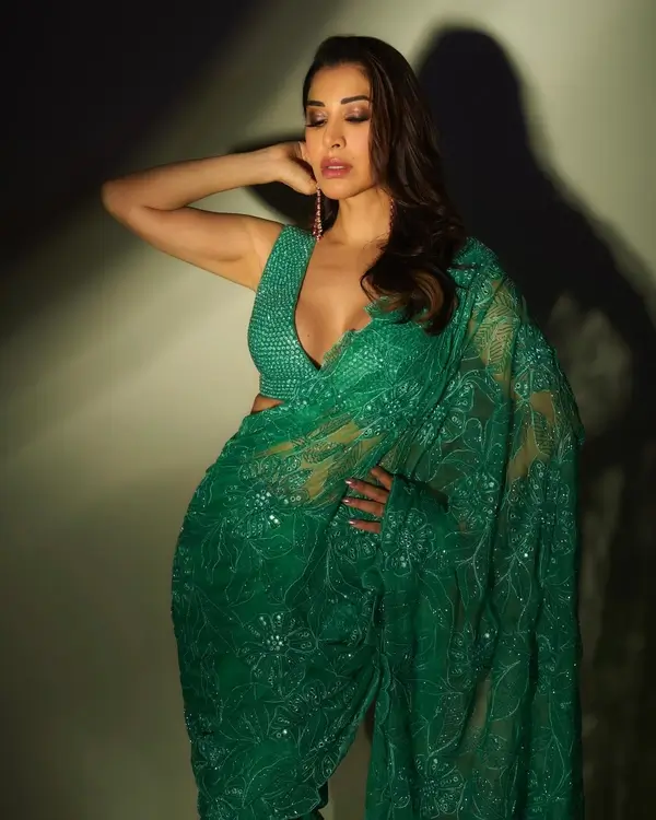 Hot Sophie Choudry Showcased Her Big Boobs and Curvy Figure in a Gorgeous Green Saree (5)