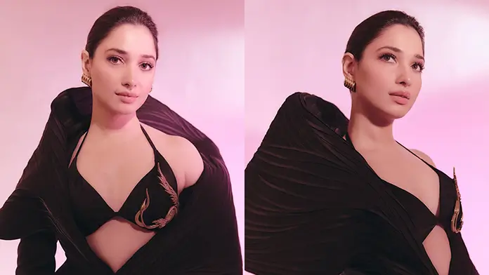 Hot Tamannaah Bhatia Flaunts Her Big Boobs in Bold Black Gown (1)