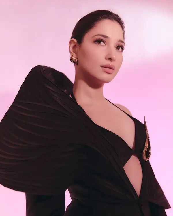 Hot Tamannaah Bhatia Flaunts Her Big Boobs in Bold Black Gown (2)