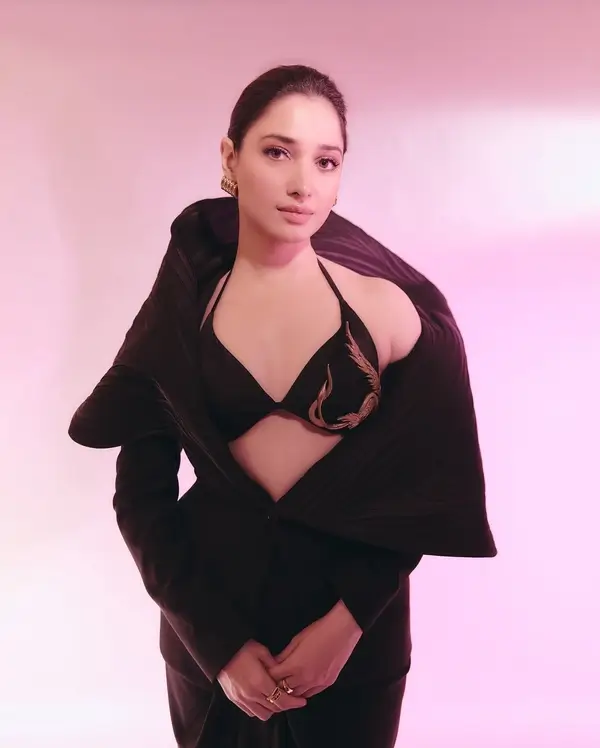 Hot Tamannaah Bhatia Flaunts Her Big Boobs in Bold Black Gown (4)